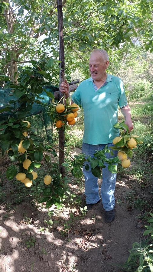 B&B Il Limoneto グラニャーノ エクステリア 写真